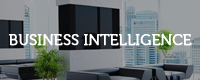 SkyIT - Business Intelligence